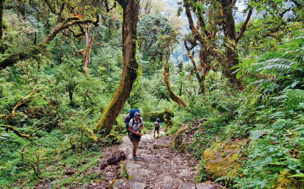 shivapuri national park