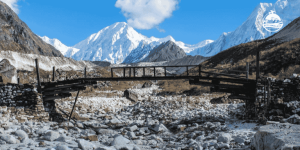 Rich Biodiversity in the Manaslu Conservation Area